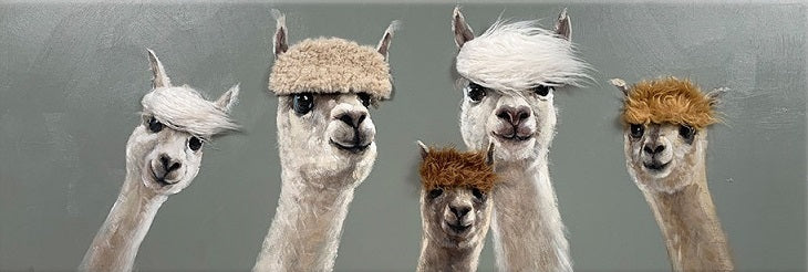 Alpaca Family