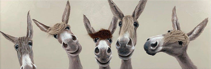 Donkey Family